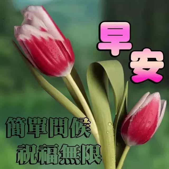 楊文子涵 第2頁